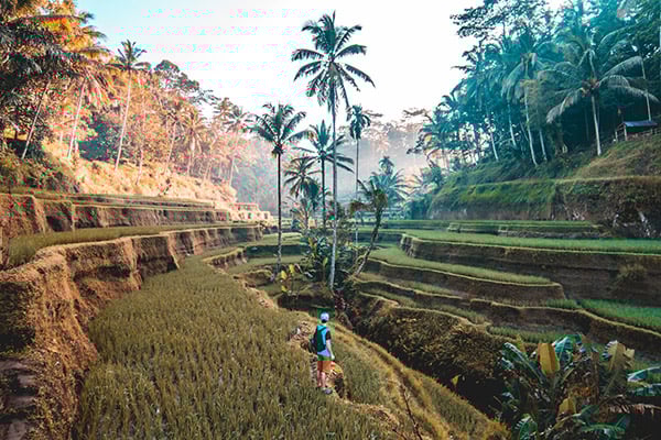 travelfone destinations img